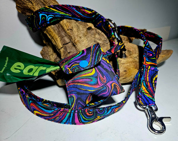 Class, Dog Collar, leash and waste bag, November 2026